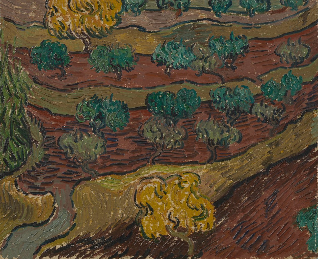 Olivenbäume auf einem Hügel von Vincent van Gogh