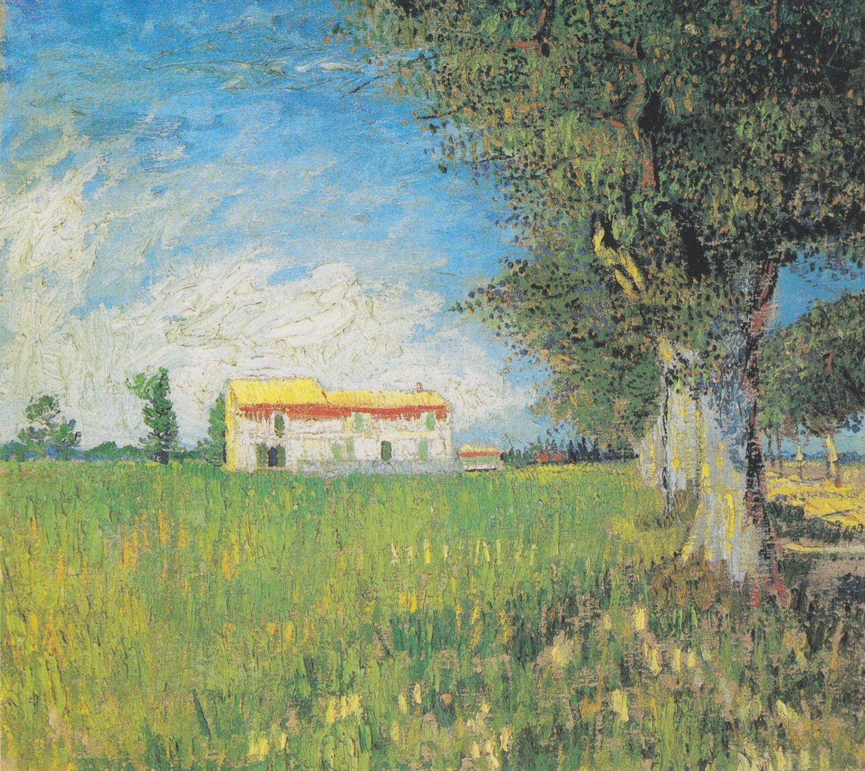 Bauernhaus in einem Weizenfeld von Vincent van Gogh