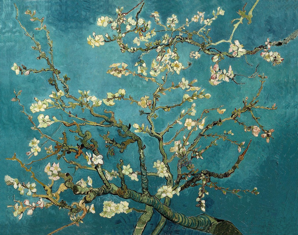 Mandelblüte von Vincent van Gogh