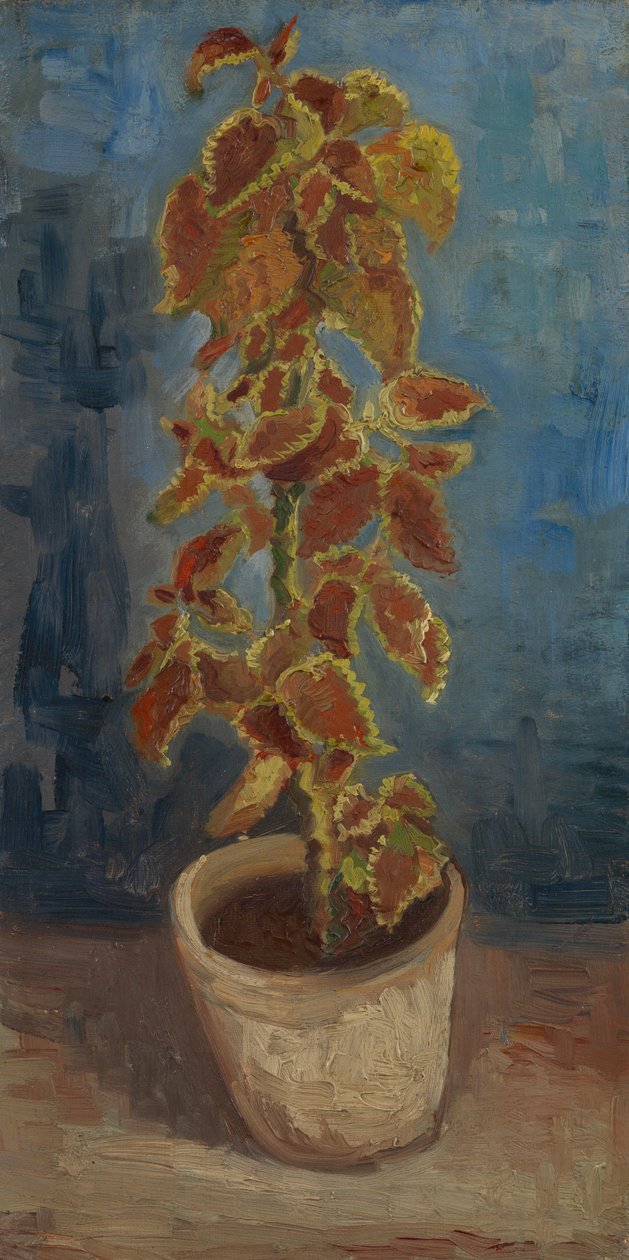 Flammenbrennnessel in einem Blumentopf von Vincent van Gogh