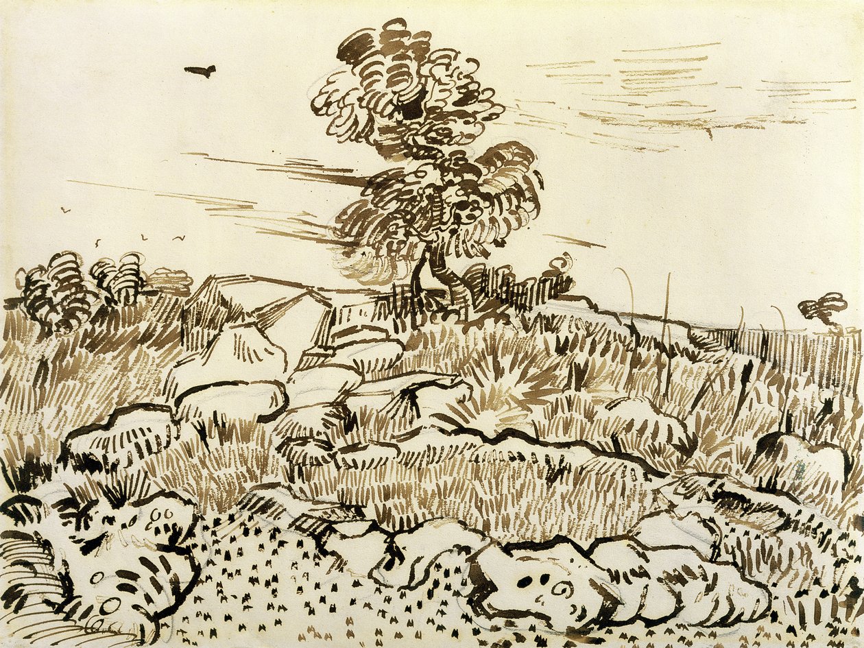 Felsiger Boden bei Montmajour, 1888-89 von Vincent van Gogh