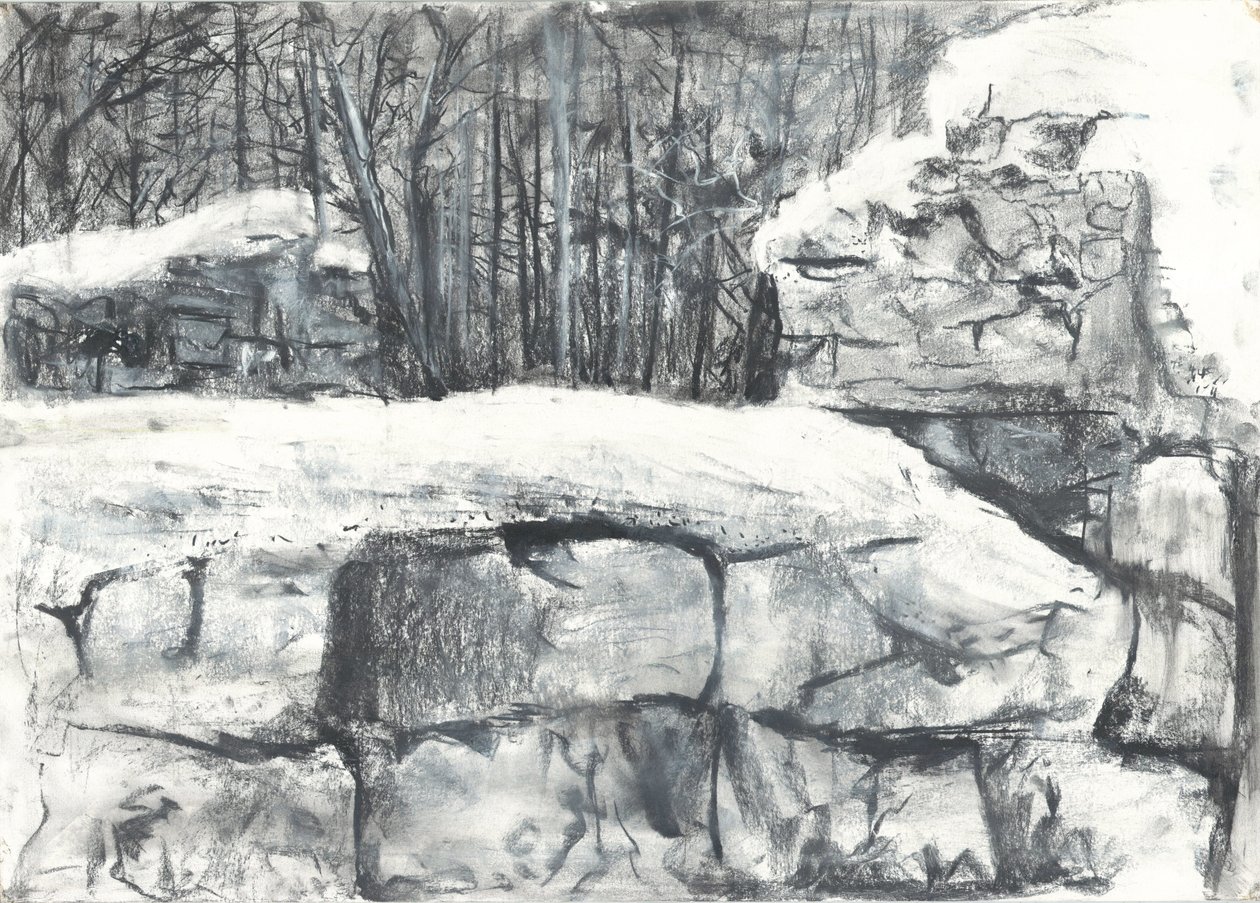 Mauer im Wald Osmotherley von Vincent Alexander Booth