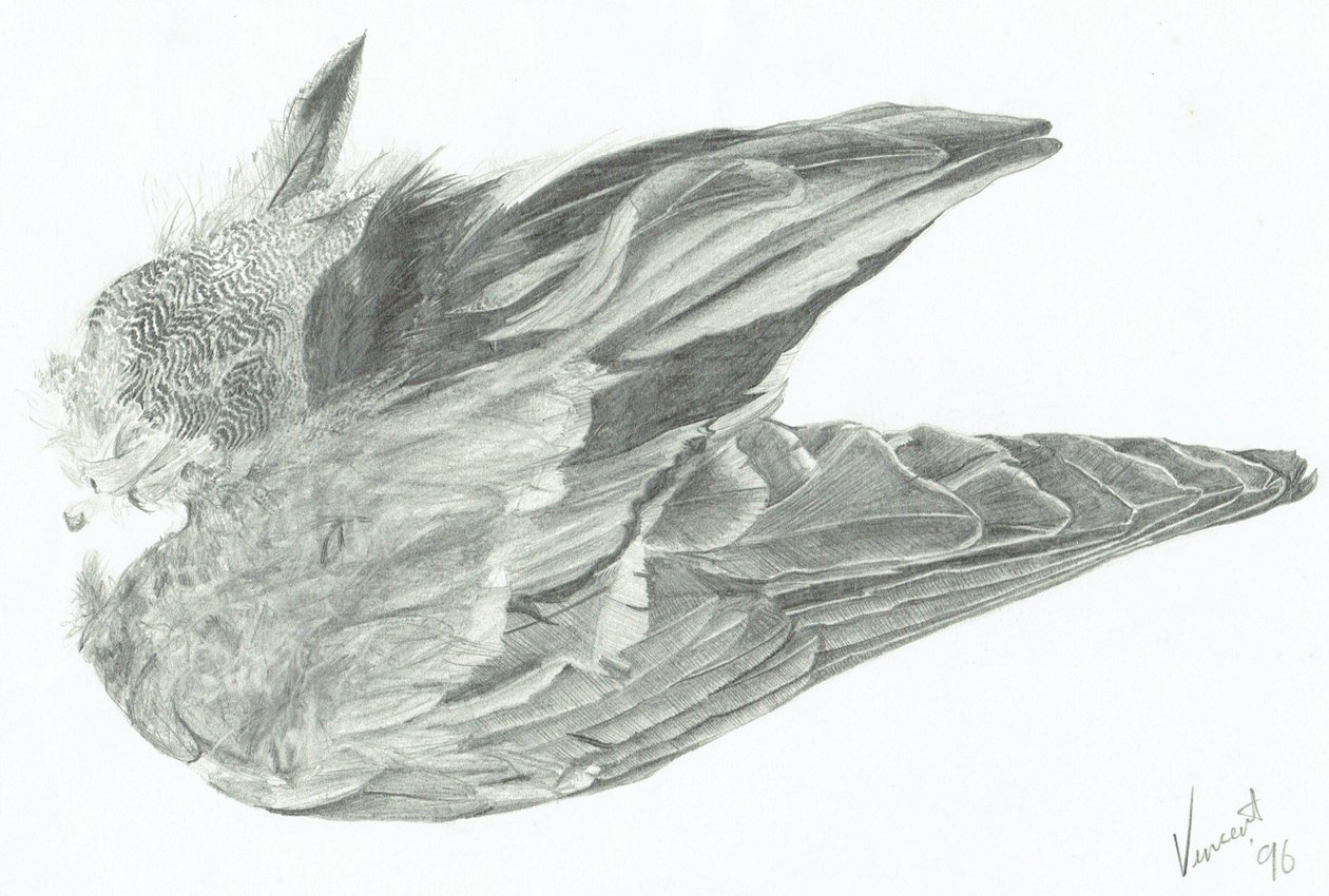 Flügel von Vincent Alexander Booth