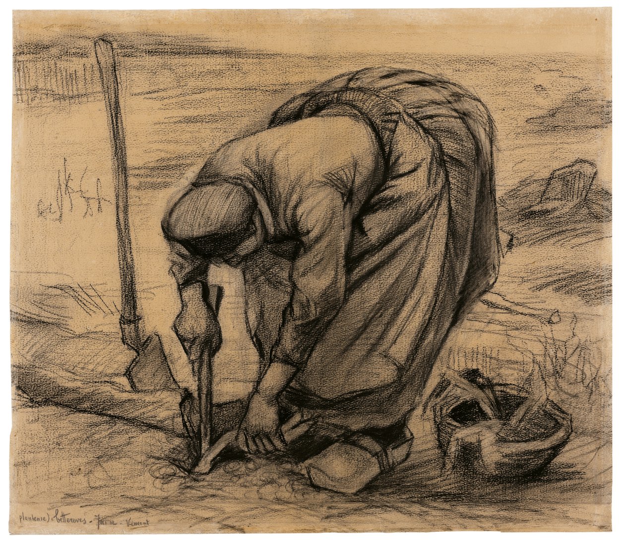 Rübenpflanzer von Vincent van Gogh