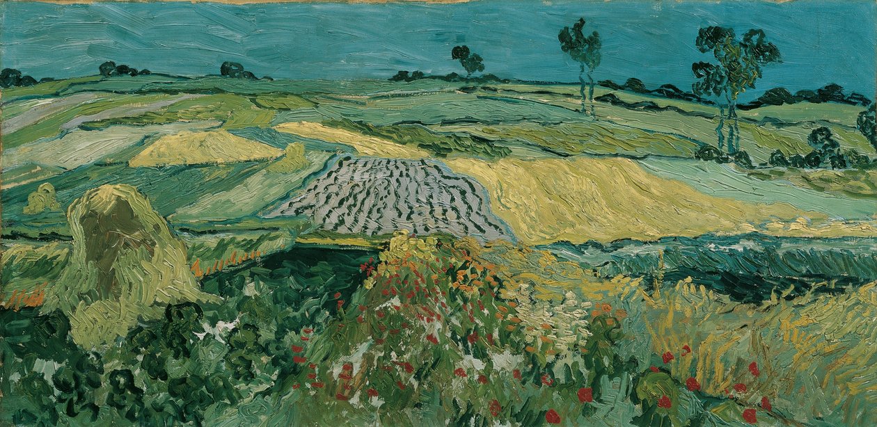Die Ebene von Auvers von Vincent van Gogh