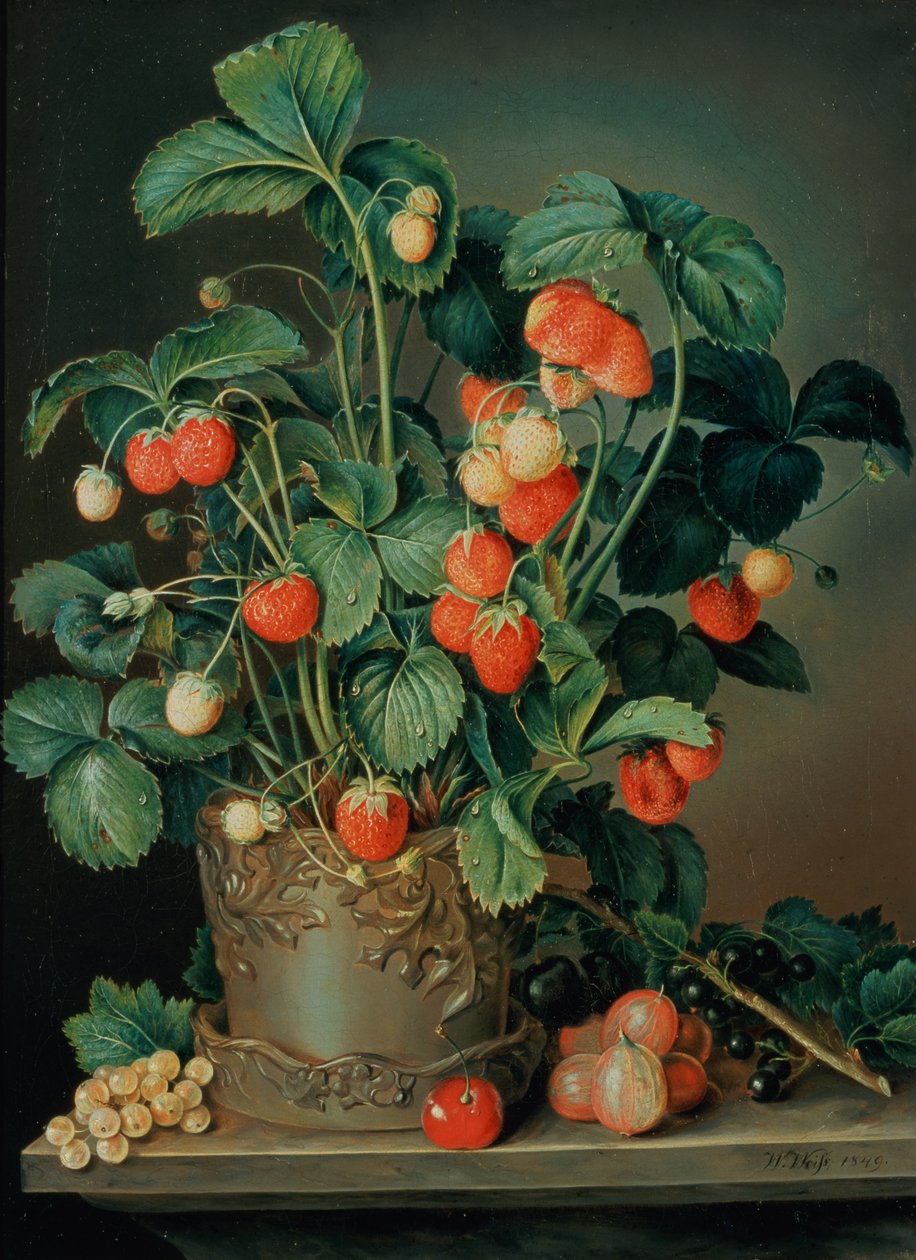 Stillleben mit Erdbeeren von W. Weiss