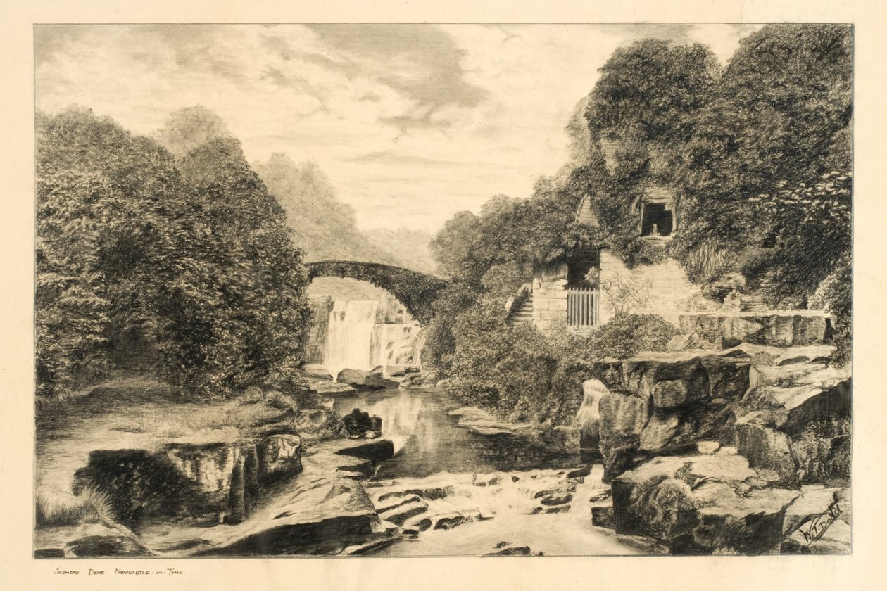 Jesmond Dene von W.T. Dodd