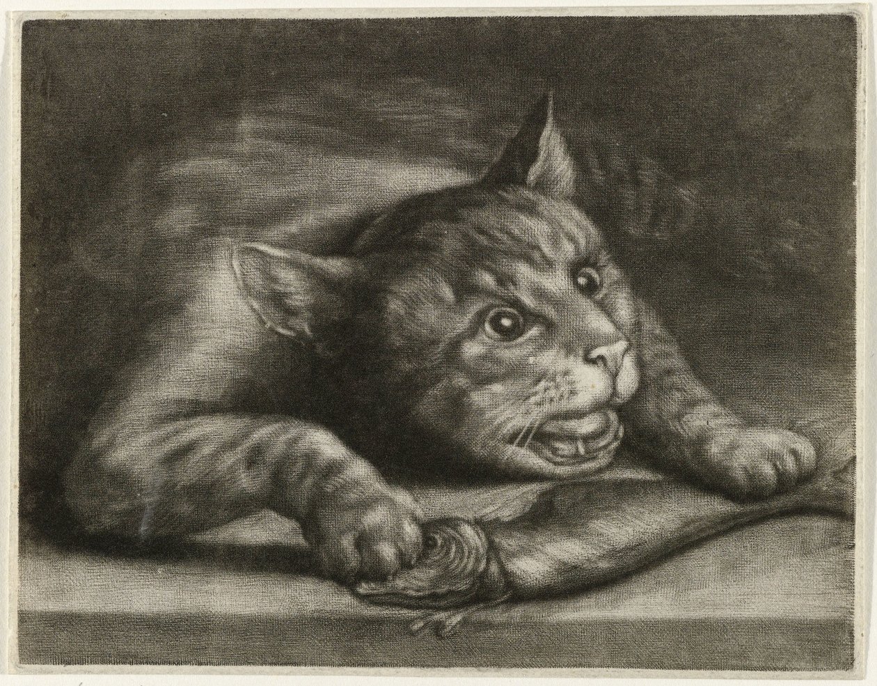 Katze mit einem Fisch von Wallerant Vaillant
