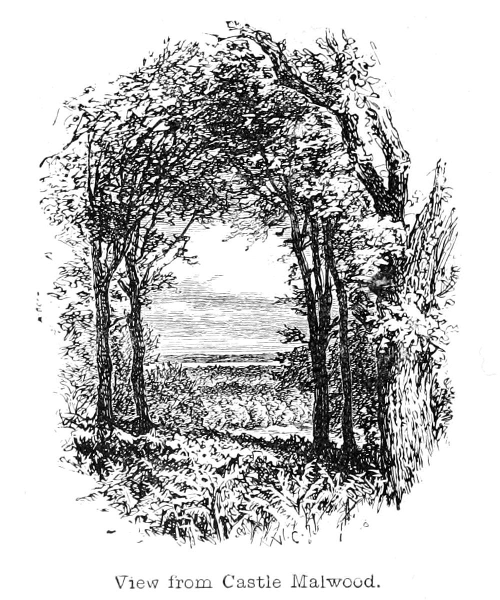 Ansicht von Castle Malwood von Walter Crane