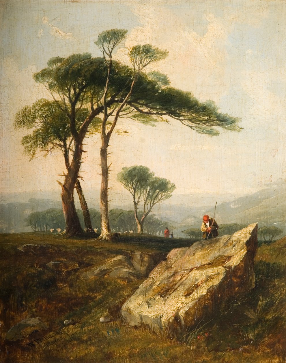 Clarenton Downs, 1844 von Walter Williams