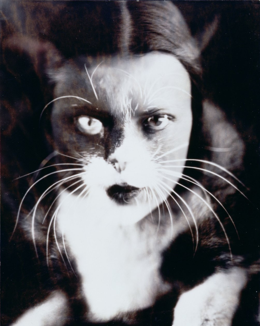 Katze und ich von Wanda Wulz