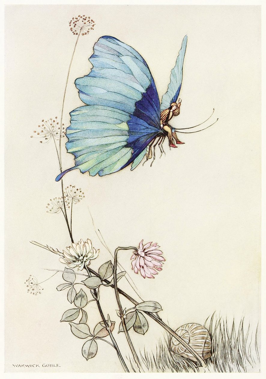 Der Schmetterling erhob sich in die Luft und nahm den kleinen Tom auf seinem Rücken mit, aus The Fairy Book, veröffentlicht 1913 von Warwick Goble