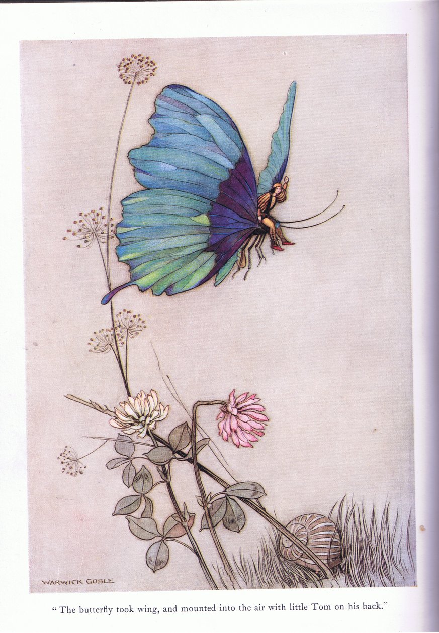 Der Schmetterling flog davon von Warwick Goble