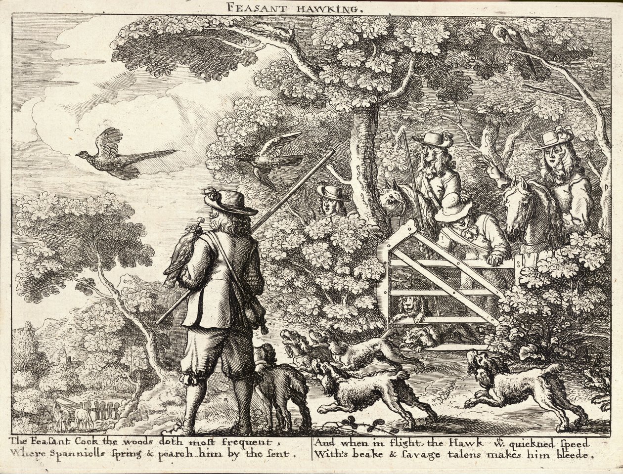 Fasanenbeize von Wenceslaus Hollar
