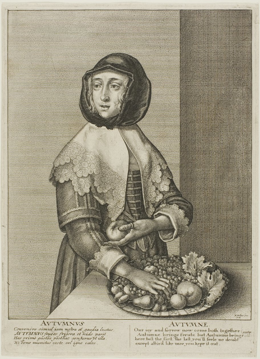 Herbst von Wenceslaus Hollar
