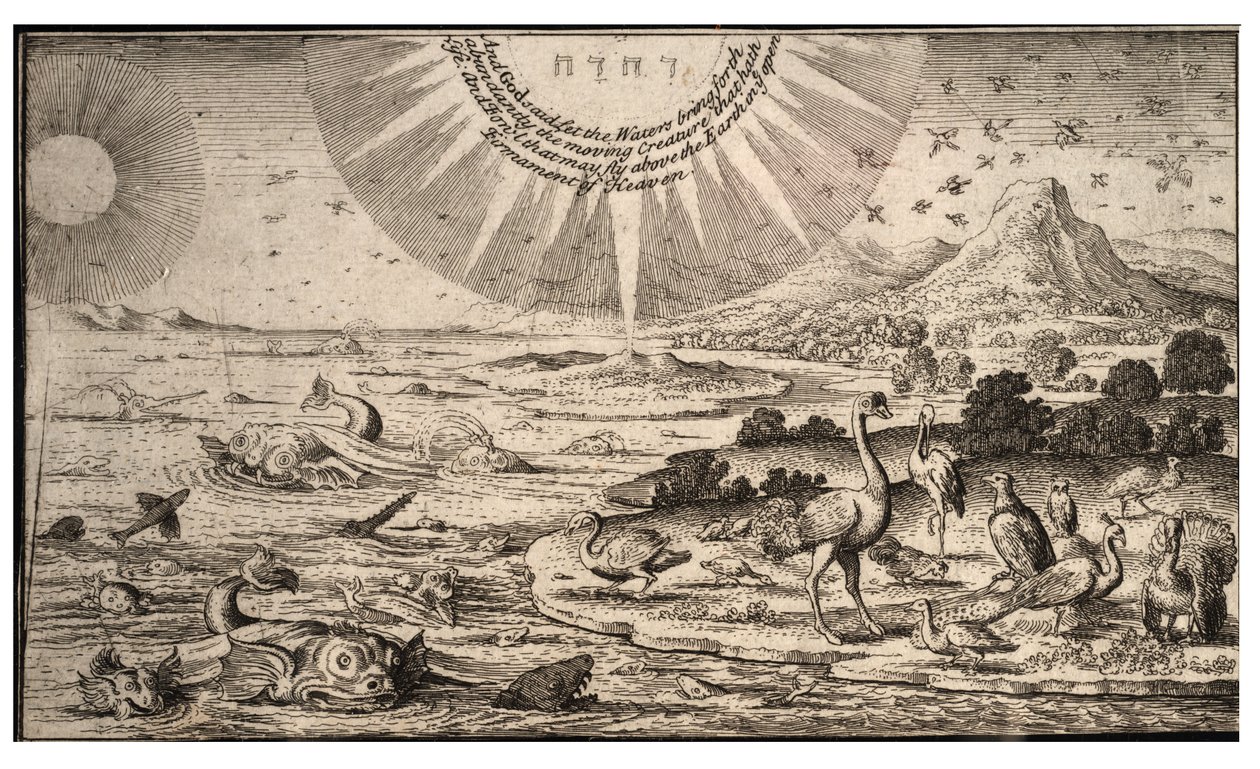 Schöpfung der Vögel und Fische (Zustand 1) von Wenceslaus Hollar