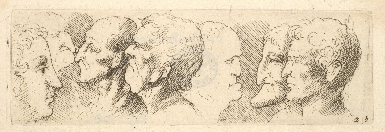 Kopfstudien von Wenceslaus Hollar