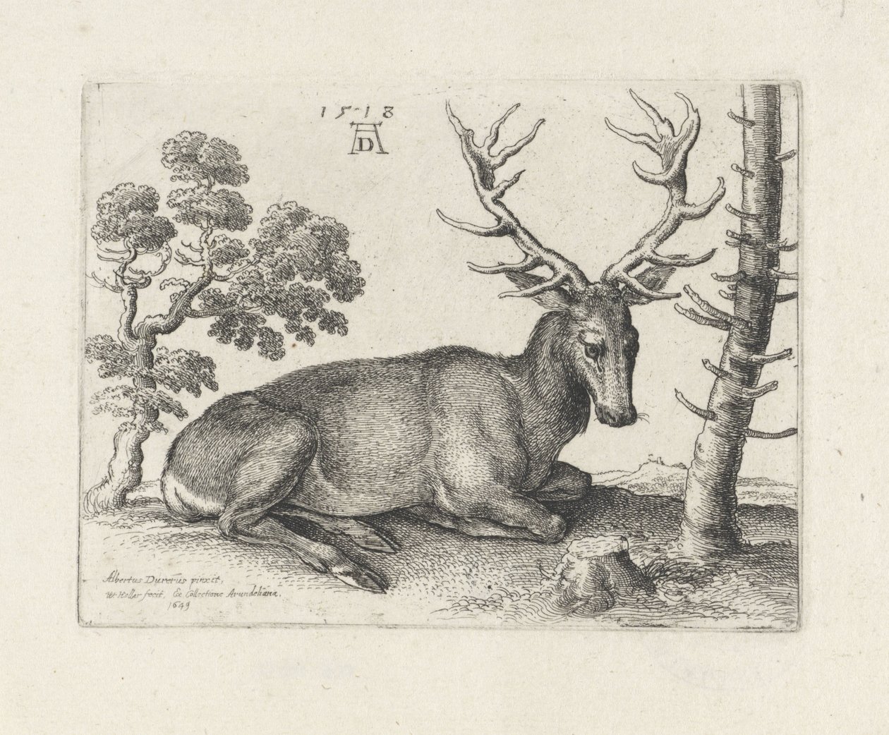 Liegender Hirsch, nach rechts von Wenceslaus Hollar
