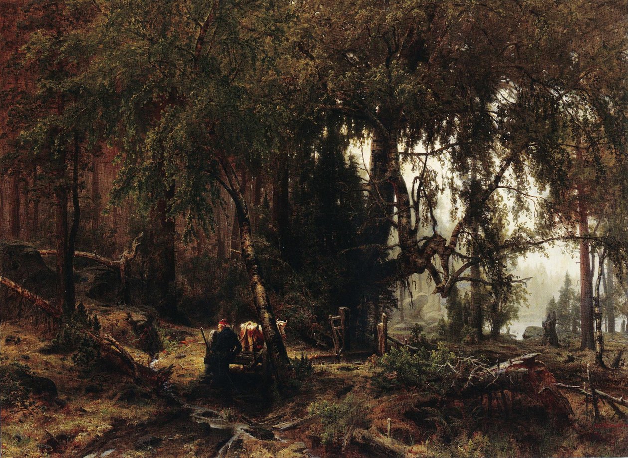 Metsä sadeilmalla von Werner Holmberg