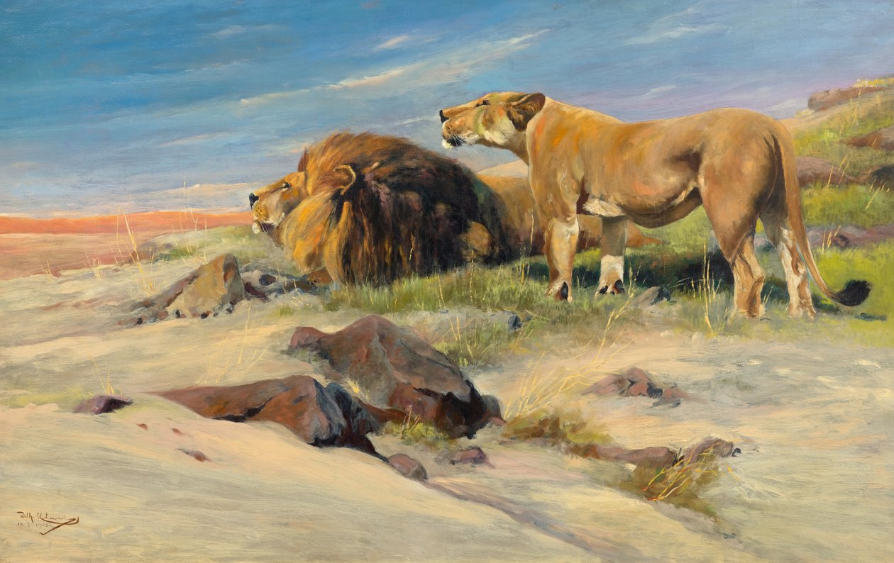 Löwenpaar in der Steppe von Wilhelm Kuhnert