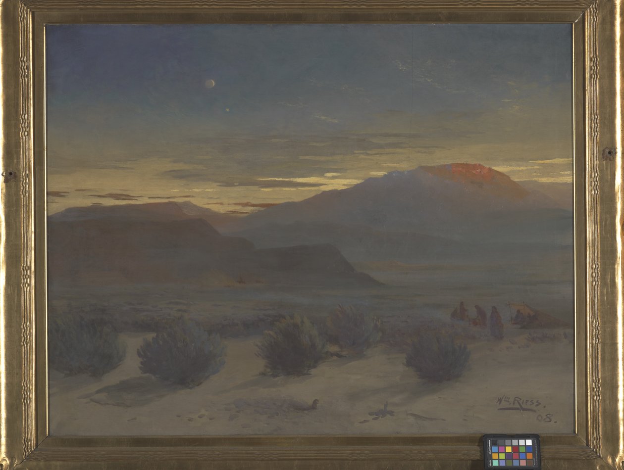 Wyoming-Wüste von Wilhelm Riess