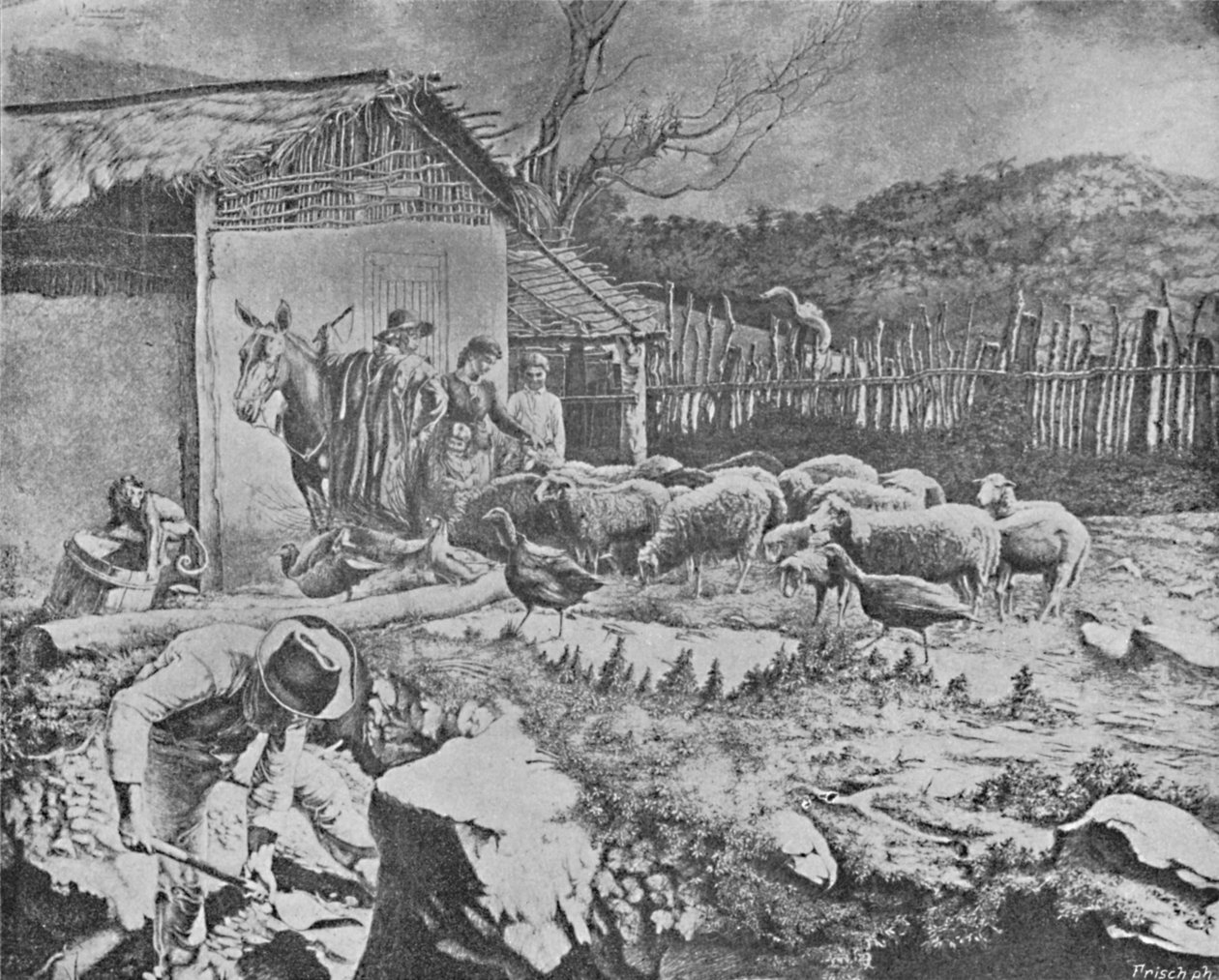 Sitio, 1895 von Wille Reichardt