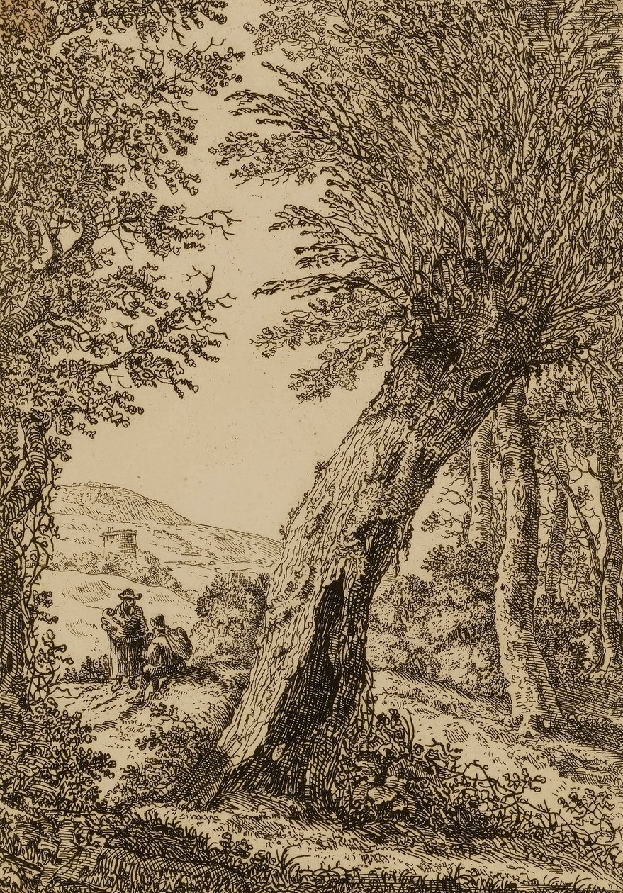 Landschaft mit Weide von Willem Bemmel