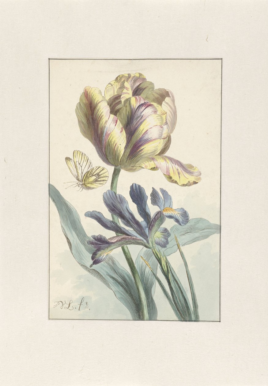 Tulpe und Iris von Willem van Leen