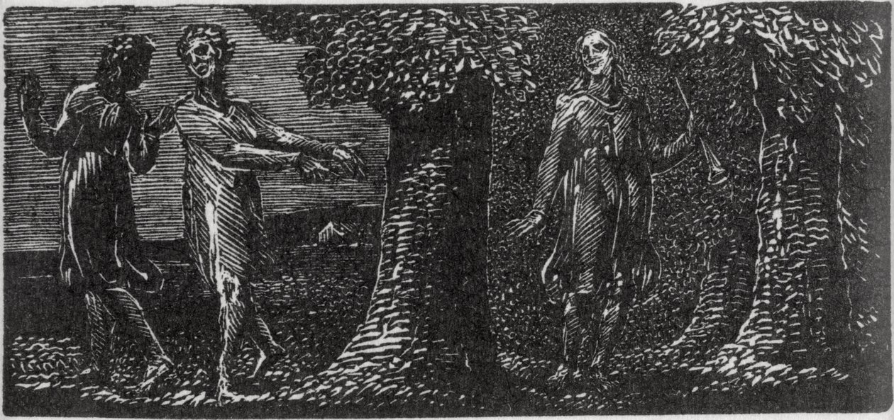 Colinet von zwei Jungen verspottet, Illustration aus Dr. Thorntons 