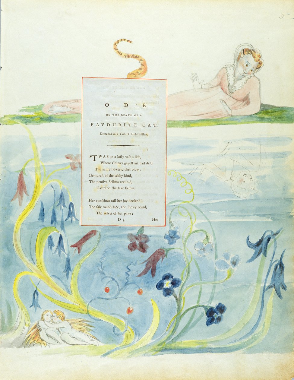 Design 9 für 