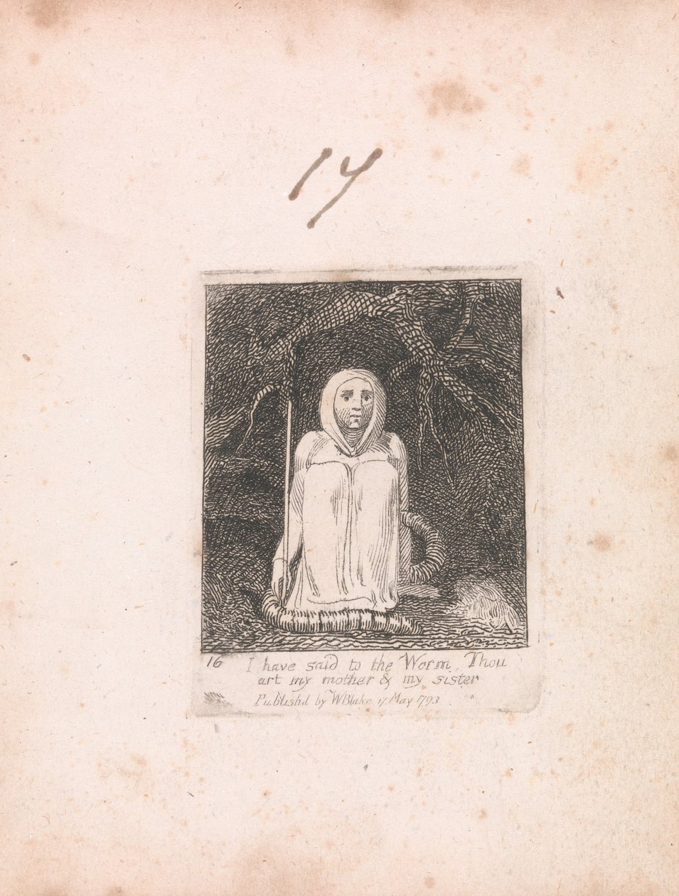 Für Kinder. Die Tore des Paradieses, Tafel 18, Ich habe dem Wurm gesagt... von William Blake
