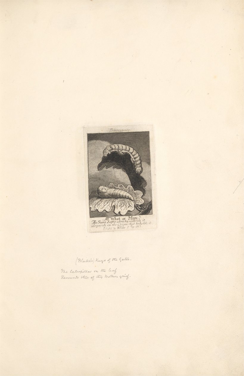 Für die Geschlechter. Die Tore des Paradieses, Tafel 1, Titelseite von William Blake