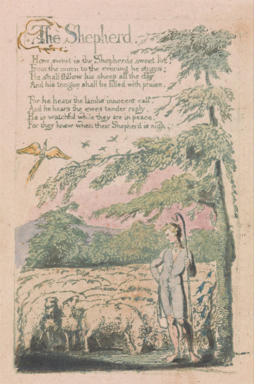 Lieder der Unschuld und der Erfahrung, Platte 4, Der Hirte (Bentley 5) von William Blake