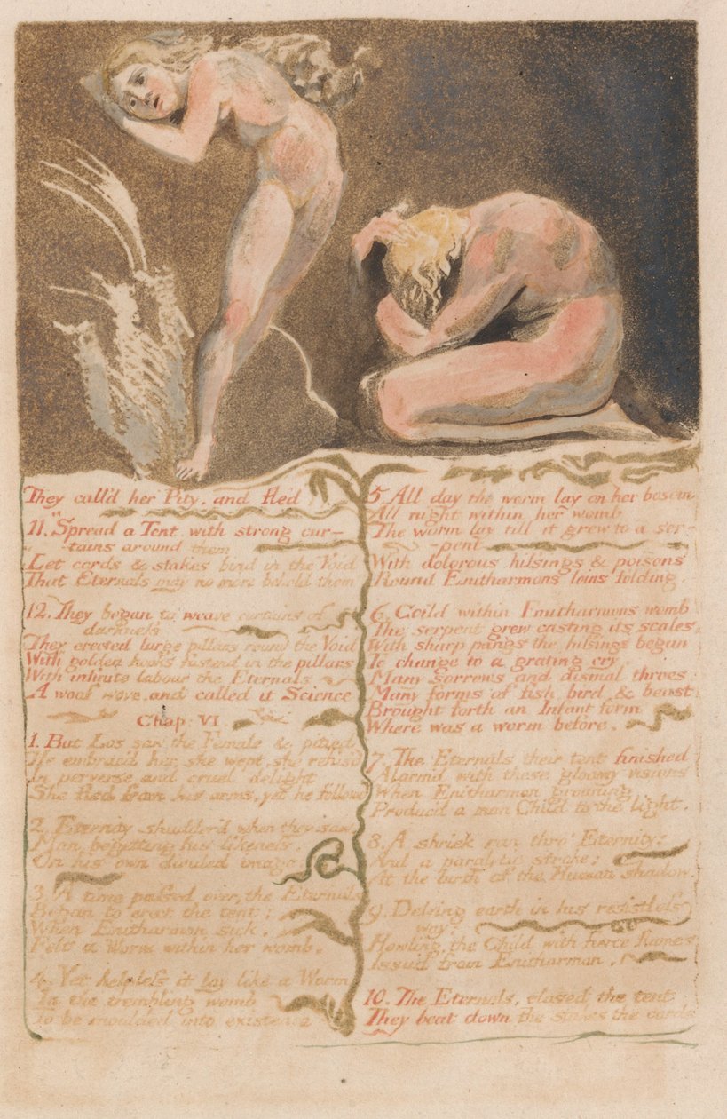 Das erste Buch von Urizen, Tafel 19, Sie nannten sie Mitleid und flohen.... (Bentley 19) von William Blake