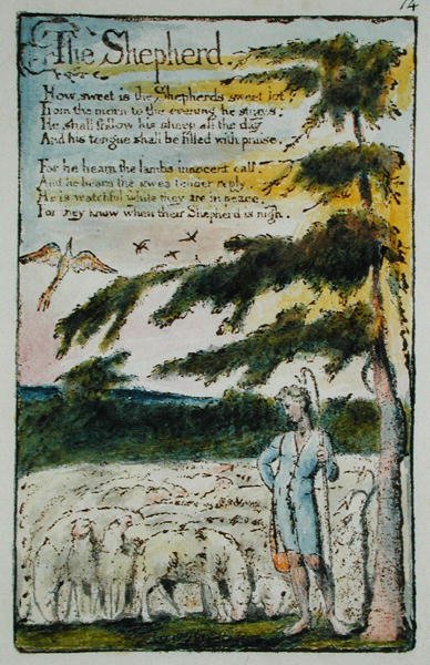 Der Hirte, Illustration aus Lieder der Unschuld und Erfahrung, (Bentley Kopie L) pl.14 (Bentley 5) 1789-94 von William Blake