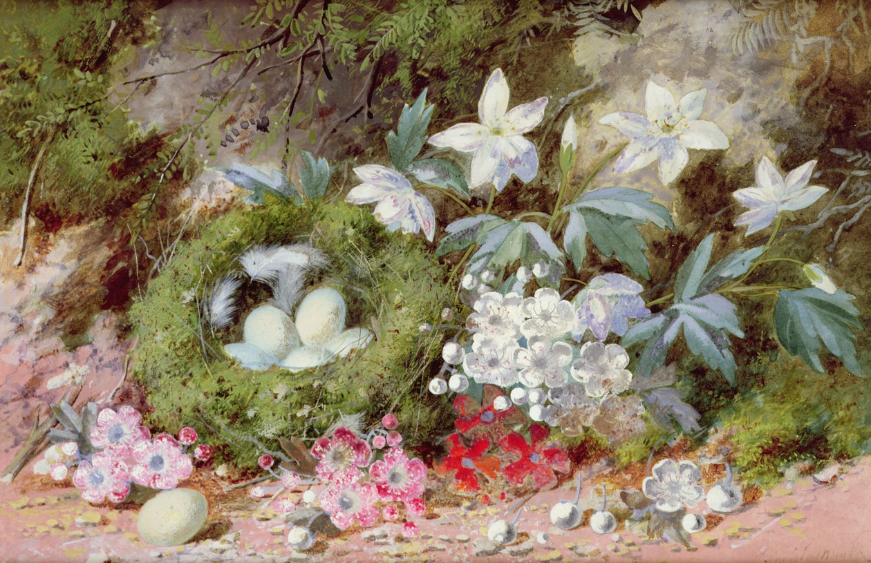 Stillleben mit Vogelnest von William Cruikshank