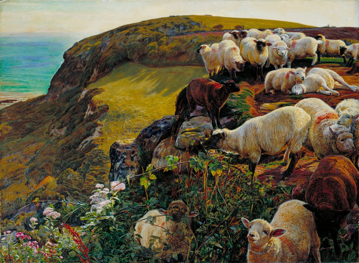 Unsere englischen Küsten, 1852 (Verirrte Schafe) von William Holman Hunt
