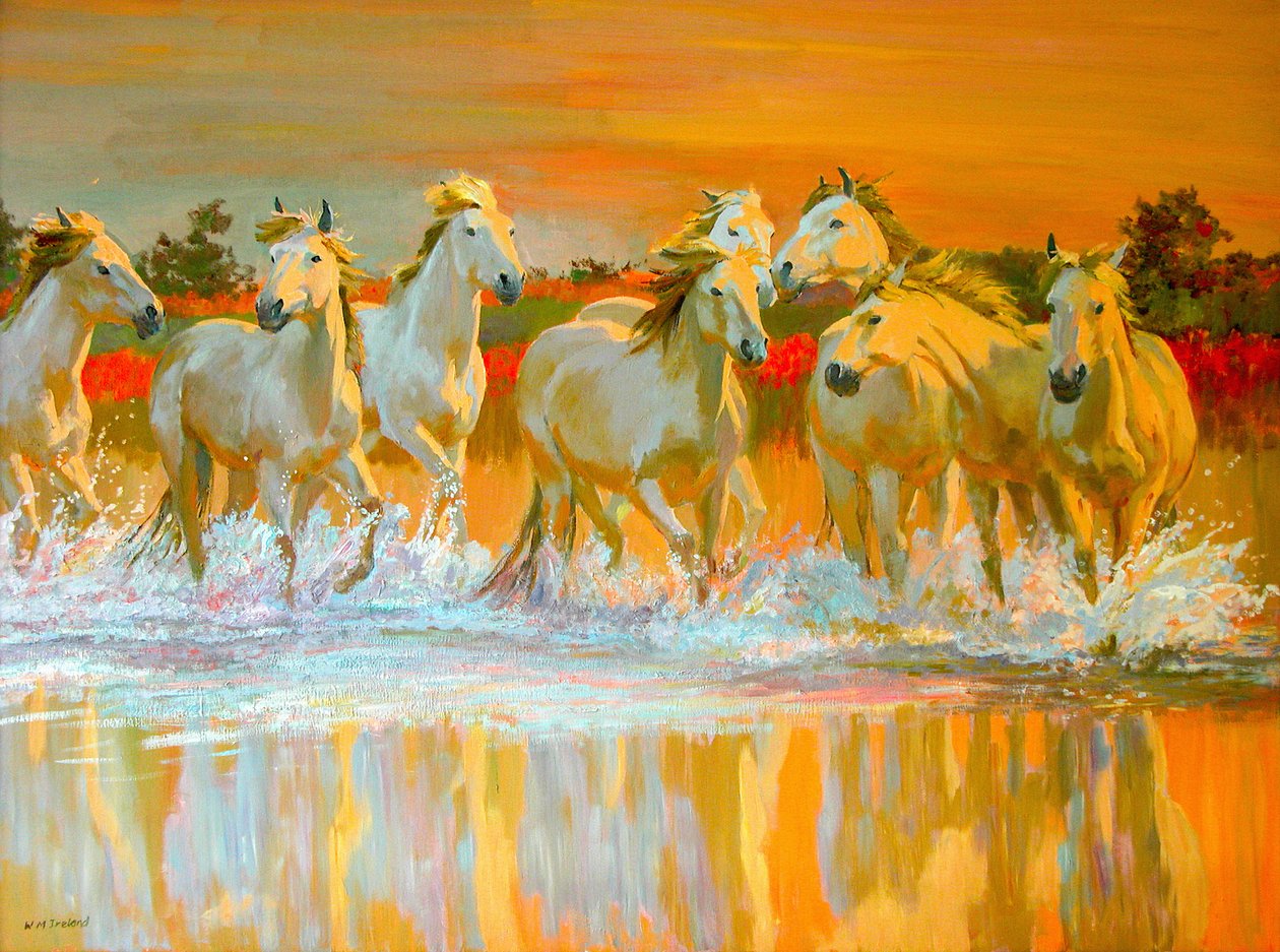 Camargue von William Ireland