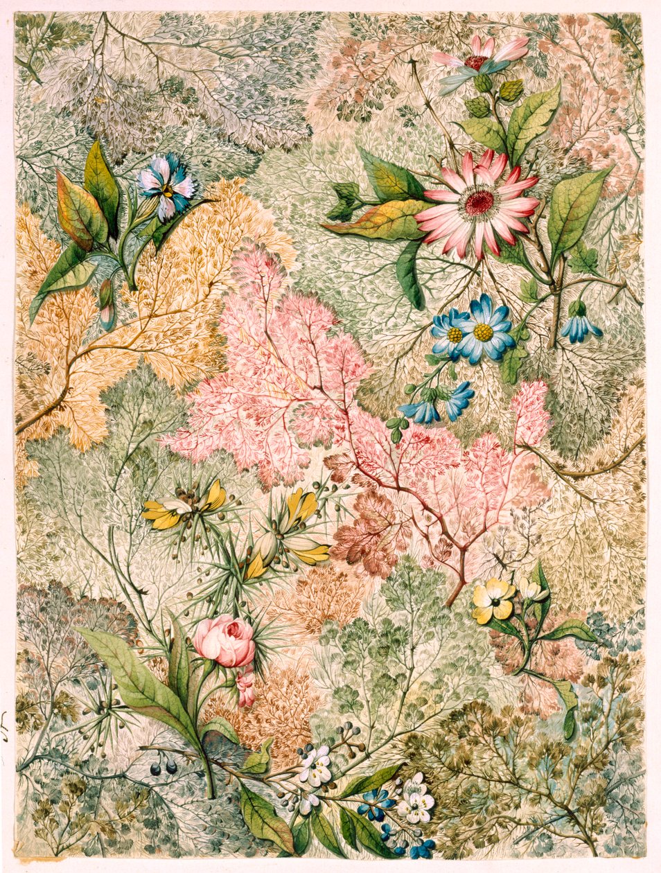 Marmorpapier von William Kilburn