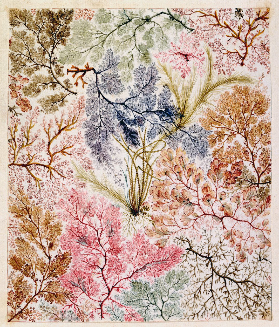 Textildesign, ca. 1788-92 von William Kilburn