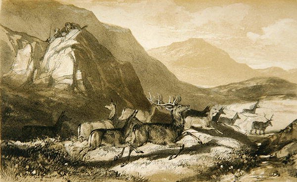 Schüsse von Cairn Cherie, aus Die Kunst der Hirschjagd: Illustriert durch eine Erzählung..., 1839 von William Scrope