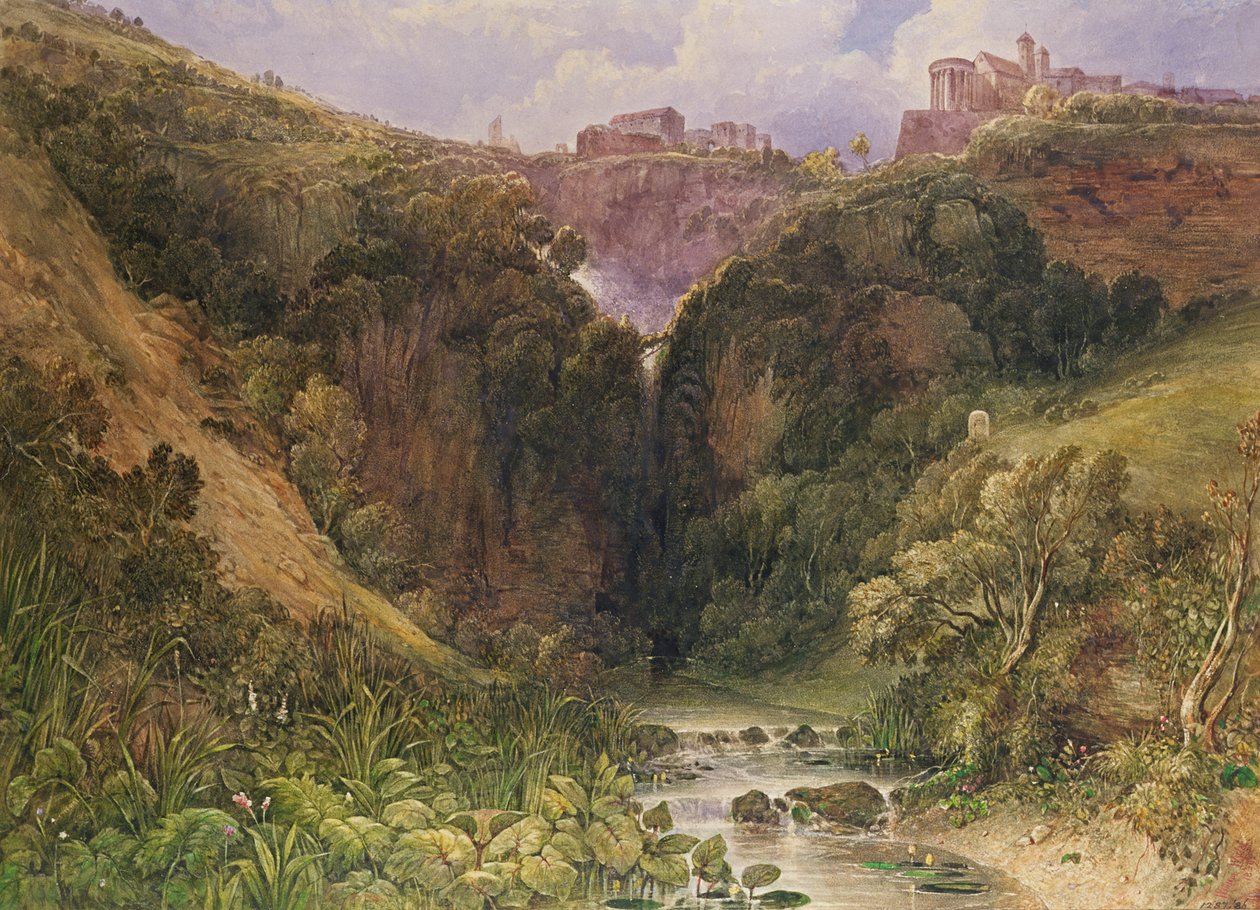 Die Wasserfälle von Tivoli von William Wyld