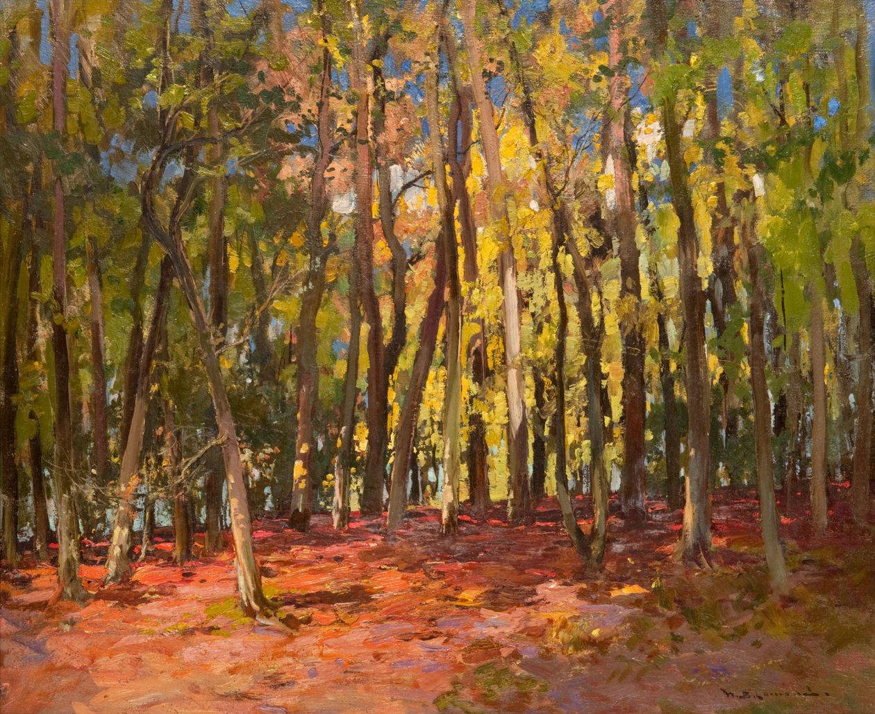 Der Hexenwald von William Bradley Lamond