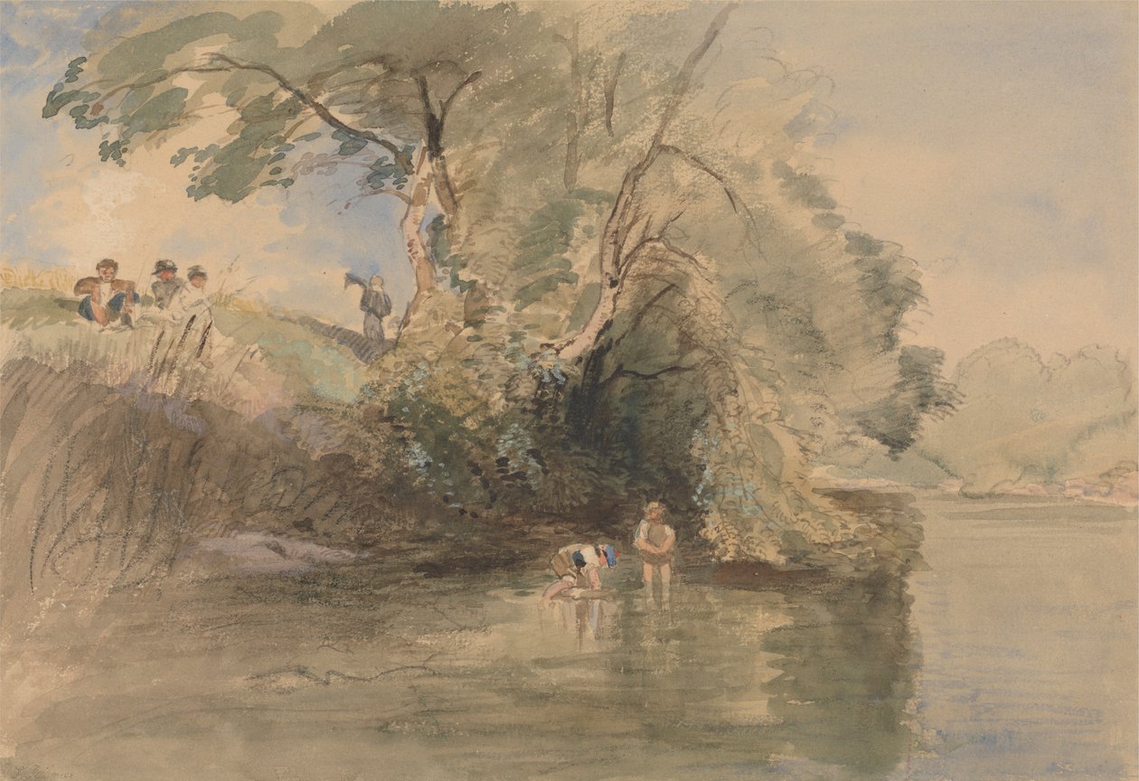 Paddeln von William Collins