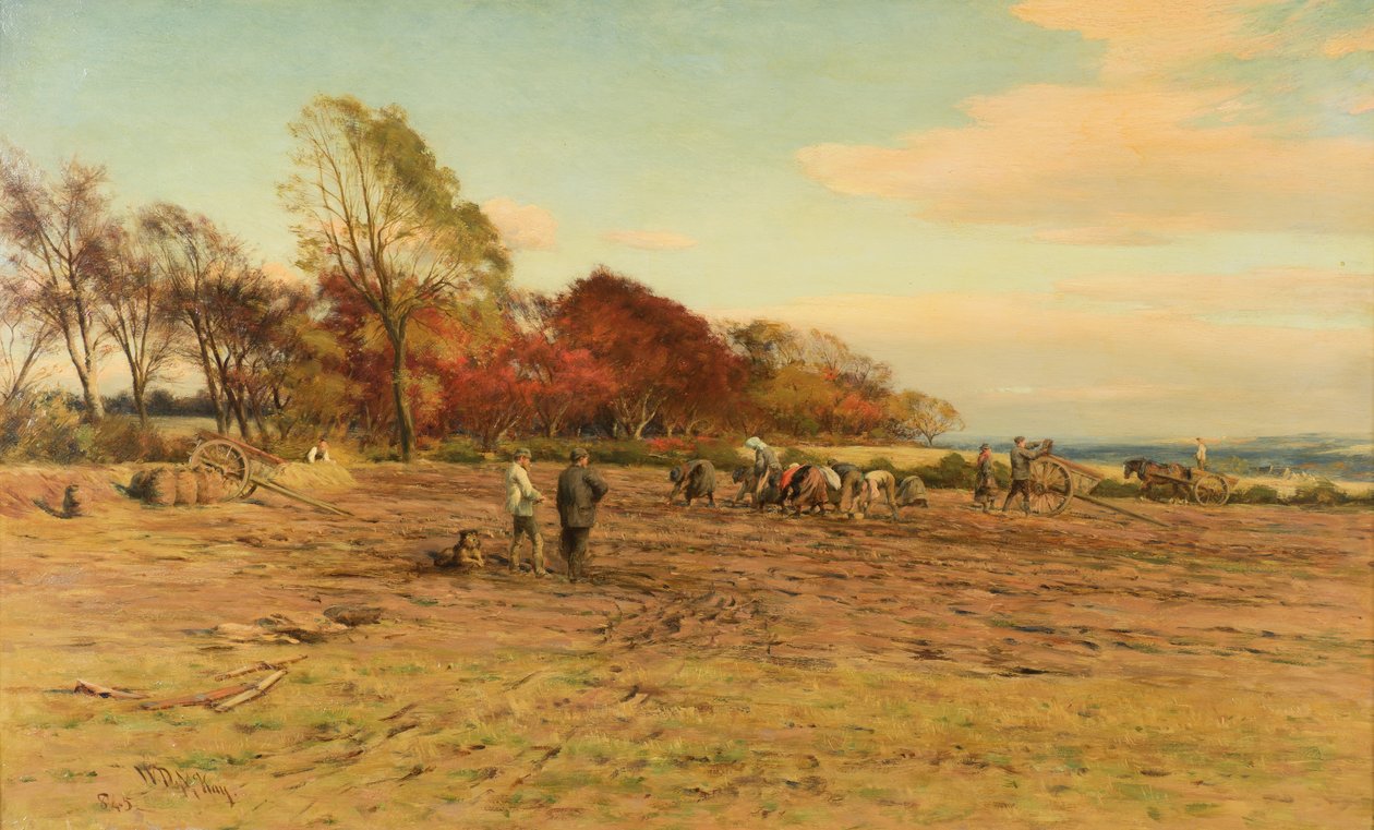 Kartoffelernte von William Darling McKay