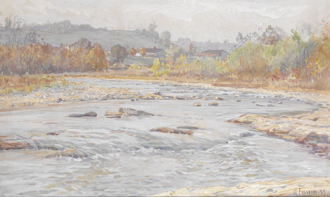 Stromschnellen von William Forsyth