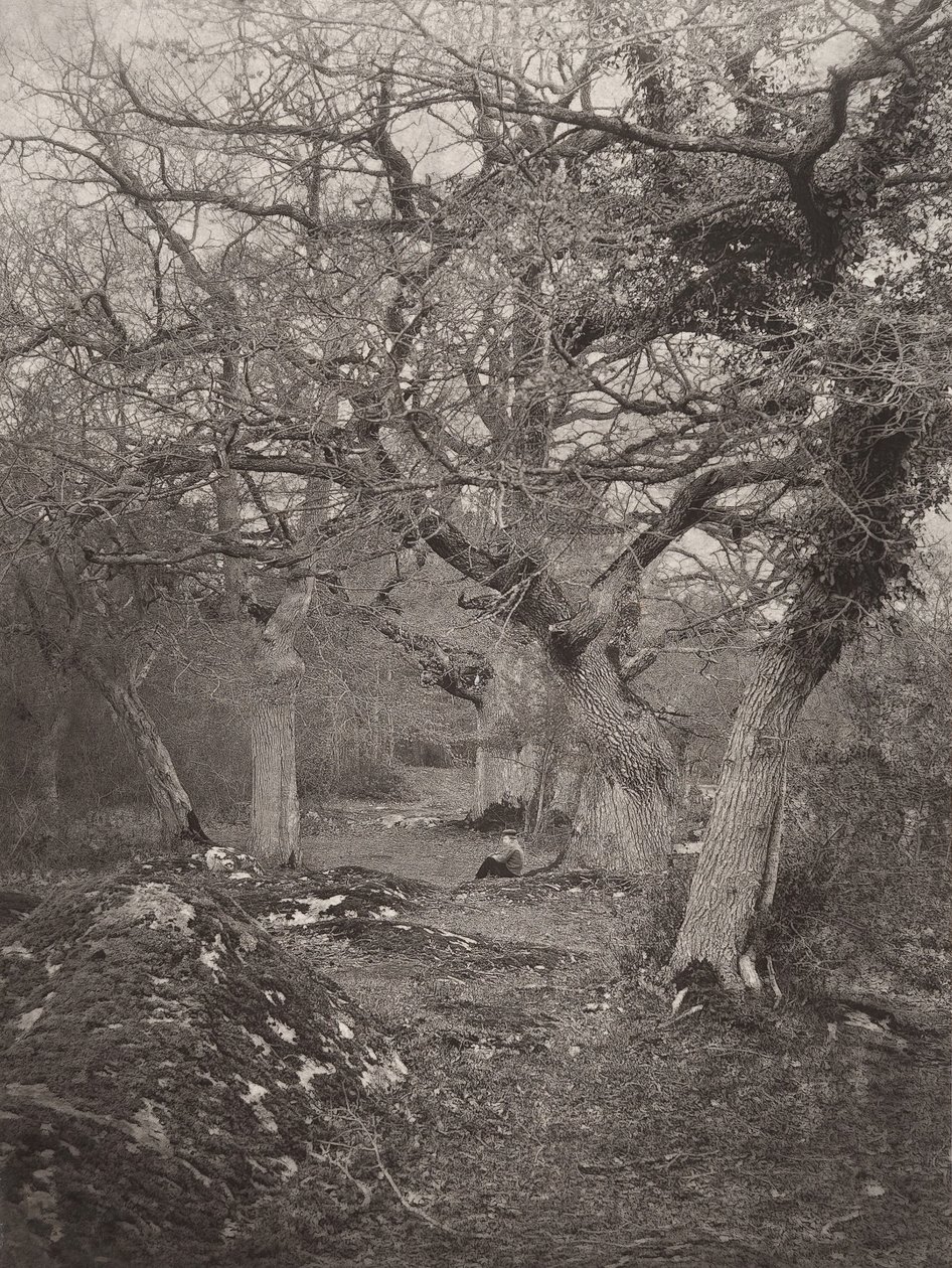 Forêt de Fontainebleau, 1870er von William Harrison