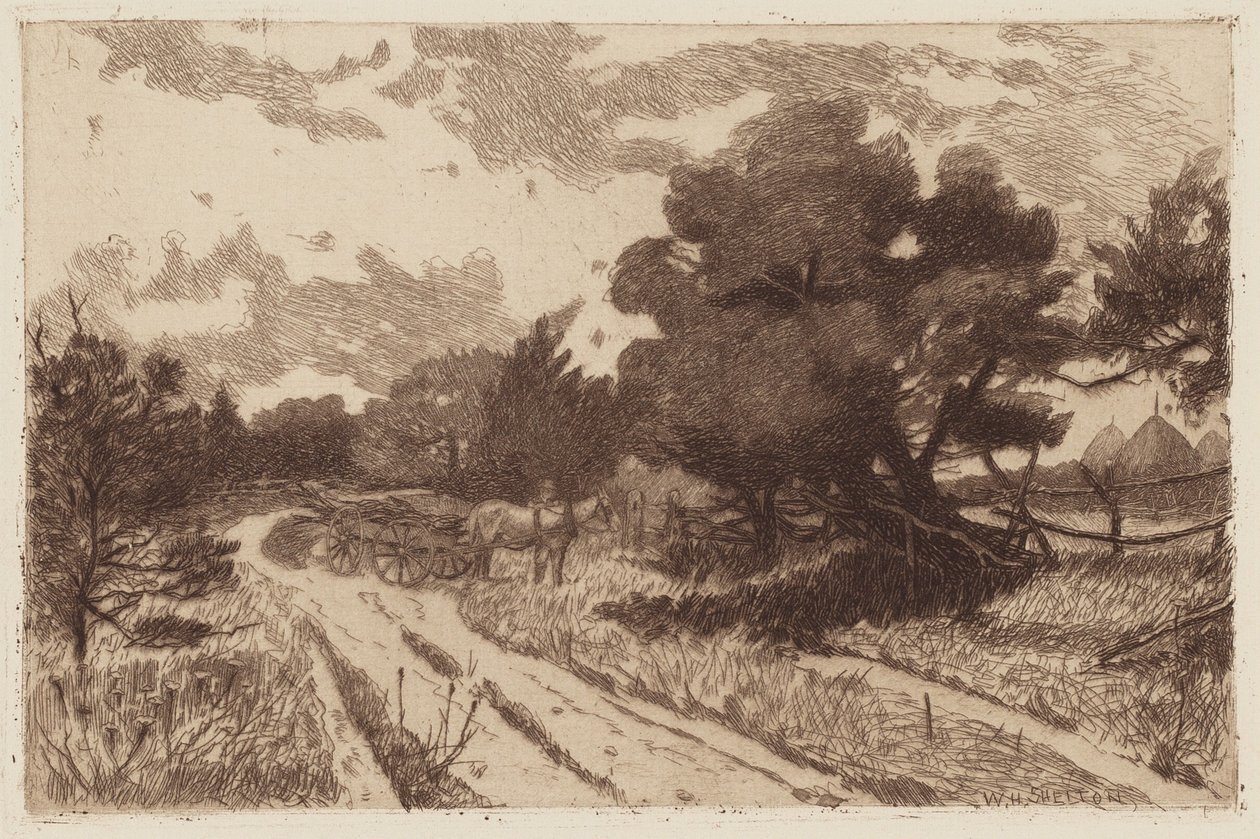 Eine Straße auf Long Island von William Henry Shelton