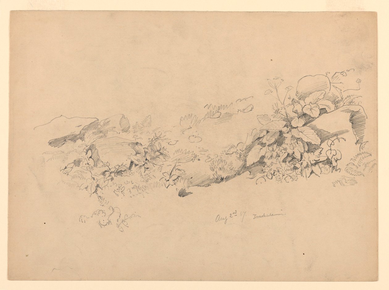 Studie von Laub, Trachselwald, Bern, Schweiz von William Trost Richards