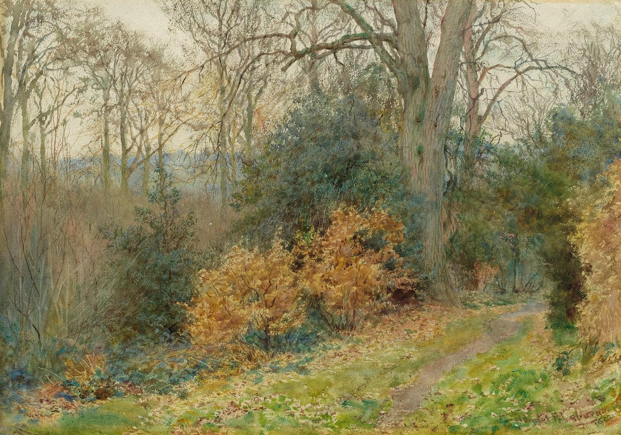 Pfad durch den Wald, 1902 von Wilmot Pilsbury